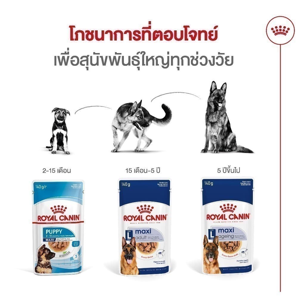 Royal Canin Maxi Ageing 8+ Pouch Gravy อาหารเปียกสุนัขสูงวัยพันธุ์ใหญ่ อายุ 8 ปีขึ้นไป รูปที่ 5