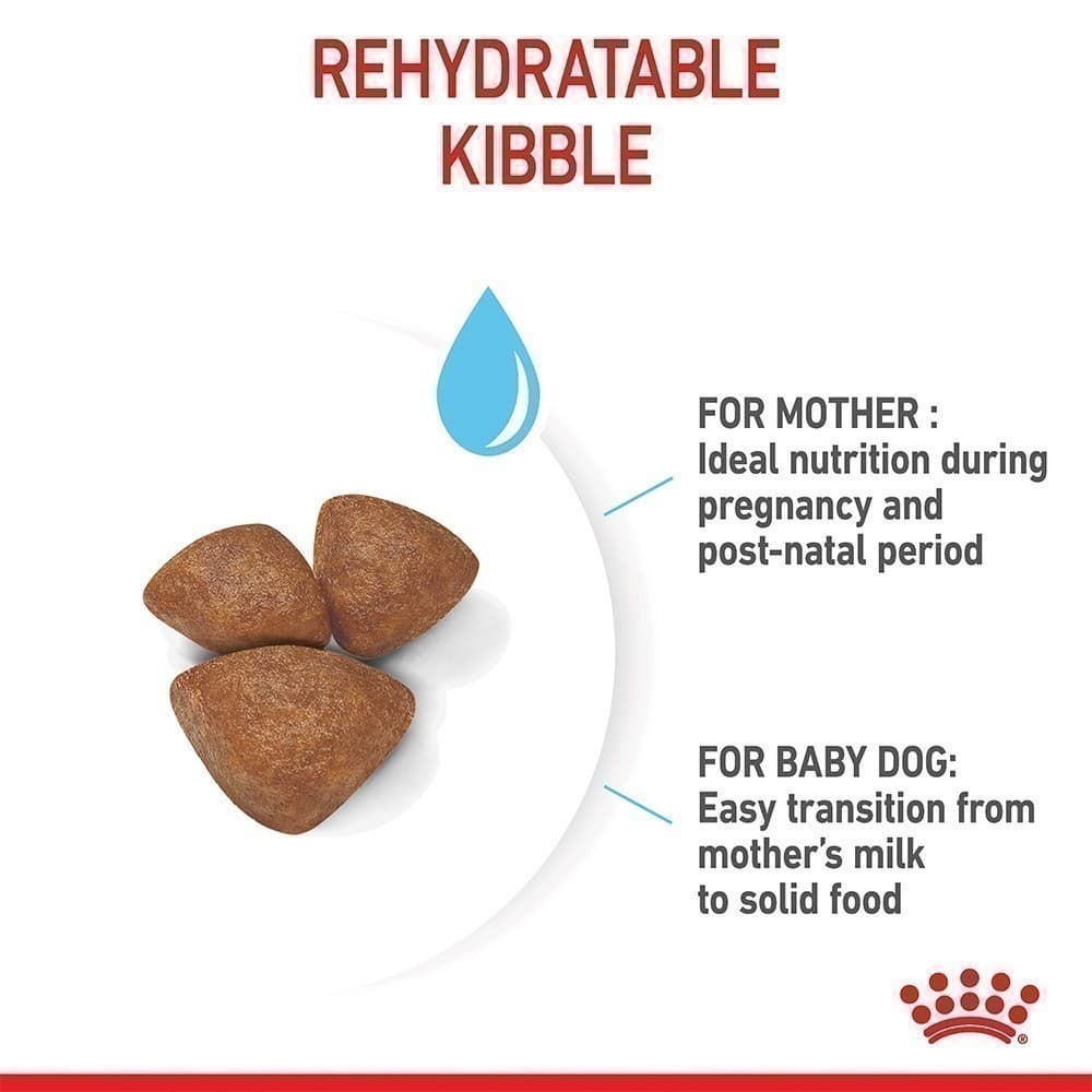Royal Canin Mini Starter Mother & Baby Dog 1kg อาหารเม็ดแม่สุนัขและลูกสุนัขหย่านม พันธุ์เล็กอายุ 1-2 เดือน รูปที่ 5
