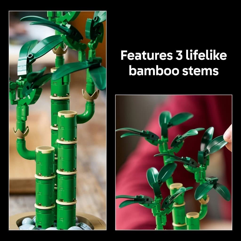 LEGO Botanicals 10344 Lucky Bamboo , Building Blocks, Kids Toy รูปที่ 5
