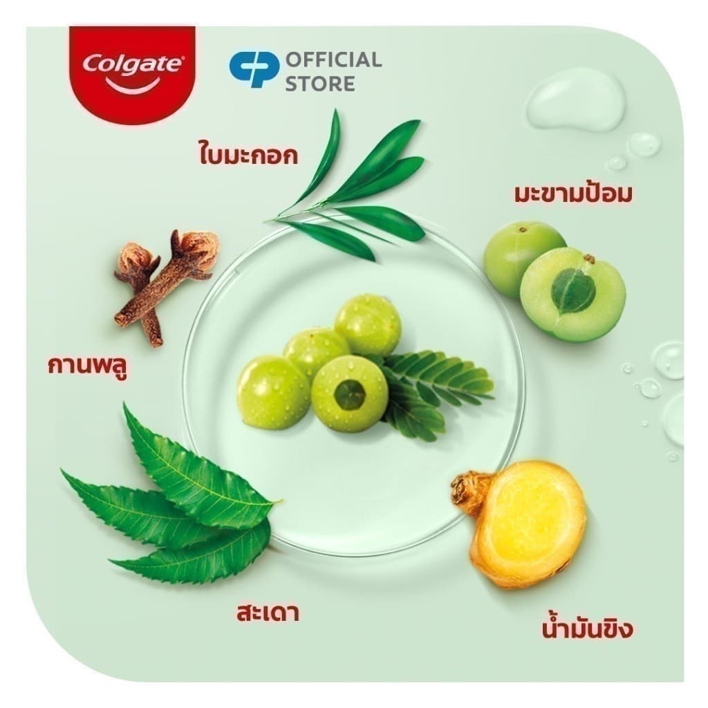 คอลเกต ยาสีฟัน สมุนไพร ดีท็อกซ์ เฮอร์เบิล ฟิวชั่น 120 กรัม Colgate Herbal Detox Herbal Fusion 120g รูปที่ 3