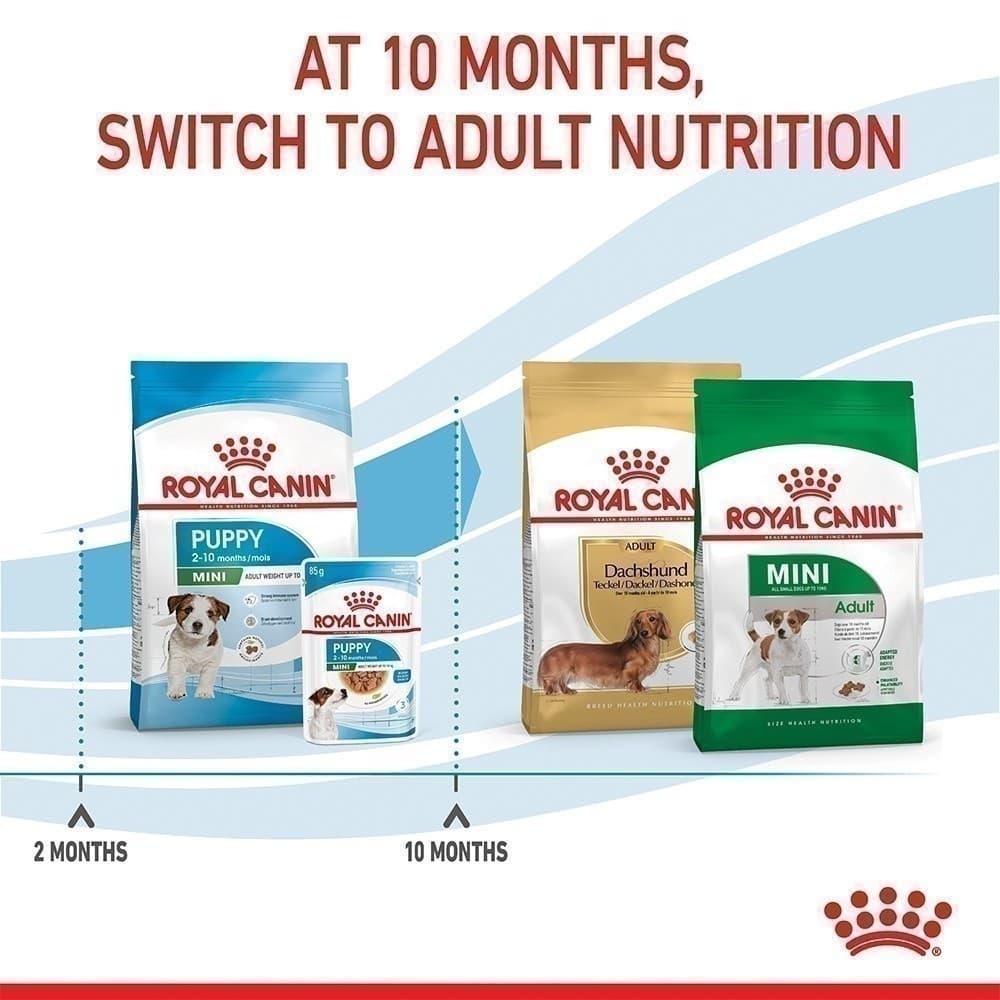 Royal Canin Mini Puppy 800g อาหารเม็ดลูกสุนัข พันธุ์เล็ก อายุ 2-10 เดือน รูปที่ 8