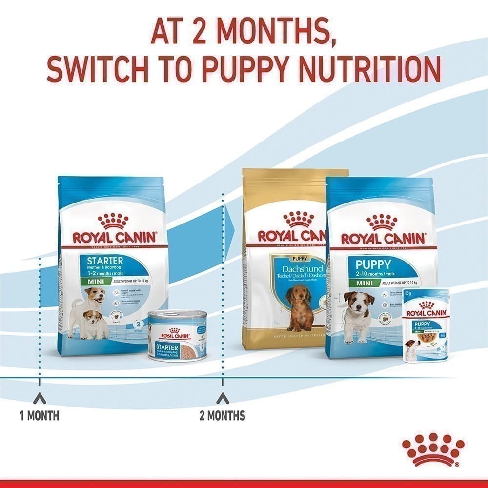 Royal Canin Mini Starter Mother & Baby Dog 1kg อาหารเม็ดแม่สุนัขและลูกสุนัขหย่านม พันธุ์เล็กอายุ 1-2 เดือน รูปที่ 8