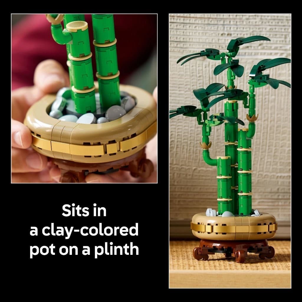 LEGO Botanicals 10344 Lucky Bamboo , Building Blocks, Kids Toy รูปที่ 6