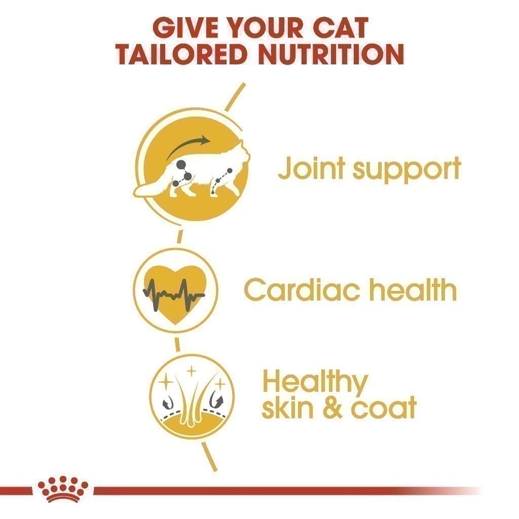 Royal Canin Mainecoon Adult 10kg อาหารเม็ดแมวโต พันธุ์เมนคูน อายุ 15 เดือนขึ้นไป รูปที่ 6
