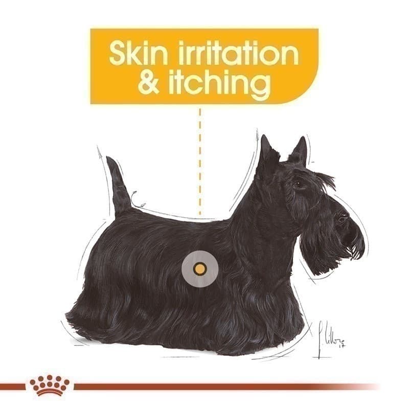 Royal Canin Mini Dermacomfort 3kg อาหารเม็ดสุนัขโต พันธุ์เล็ก ผิวแพ้ง่าย อายุ 10 เดือนขึ้นไป รูปที่ 5
