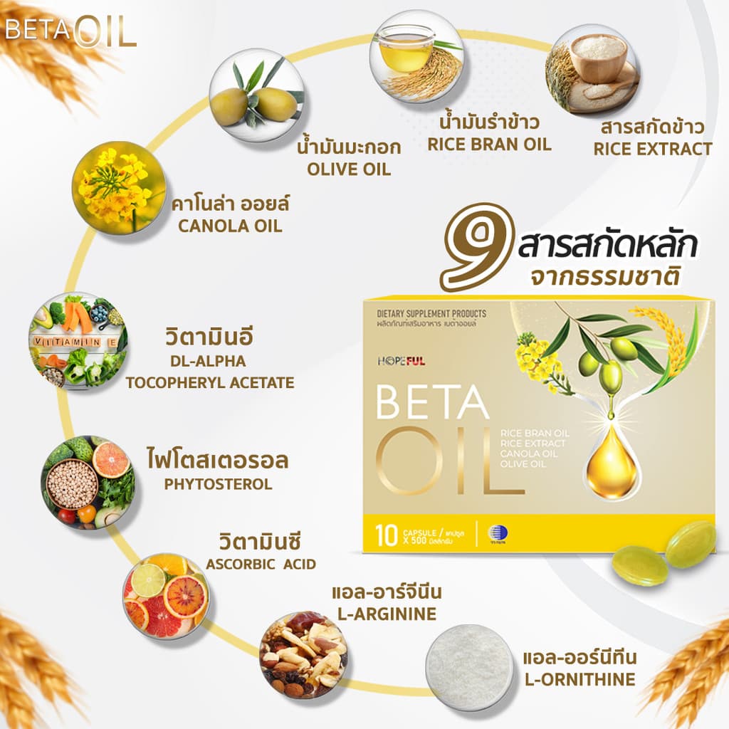 6.6 ซื้อ1แถม1 Beta Oil เบต้า ออยล์ ลดไขมันในเลือด ลดคอเลสเตอรอล โปรคุ้มพิเศษ งานวิจัยคนไทย รูปที่ 5
