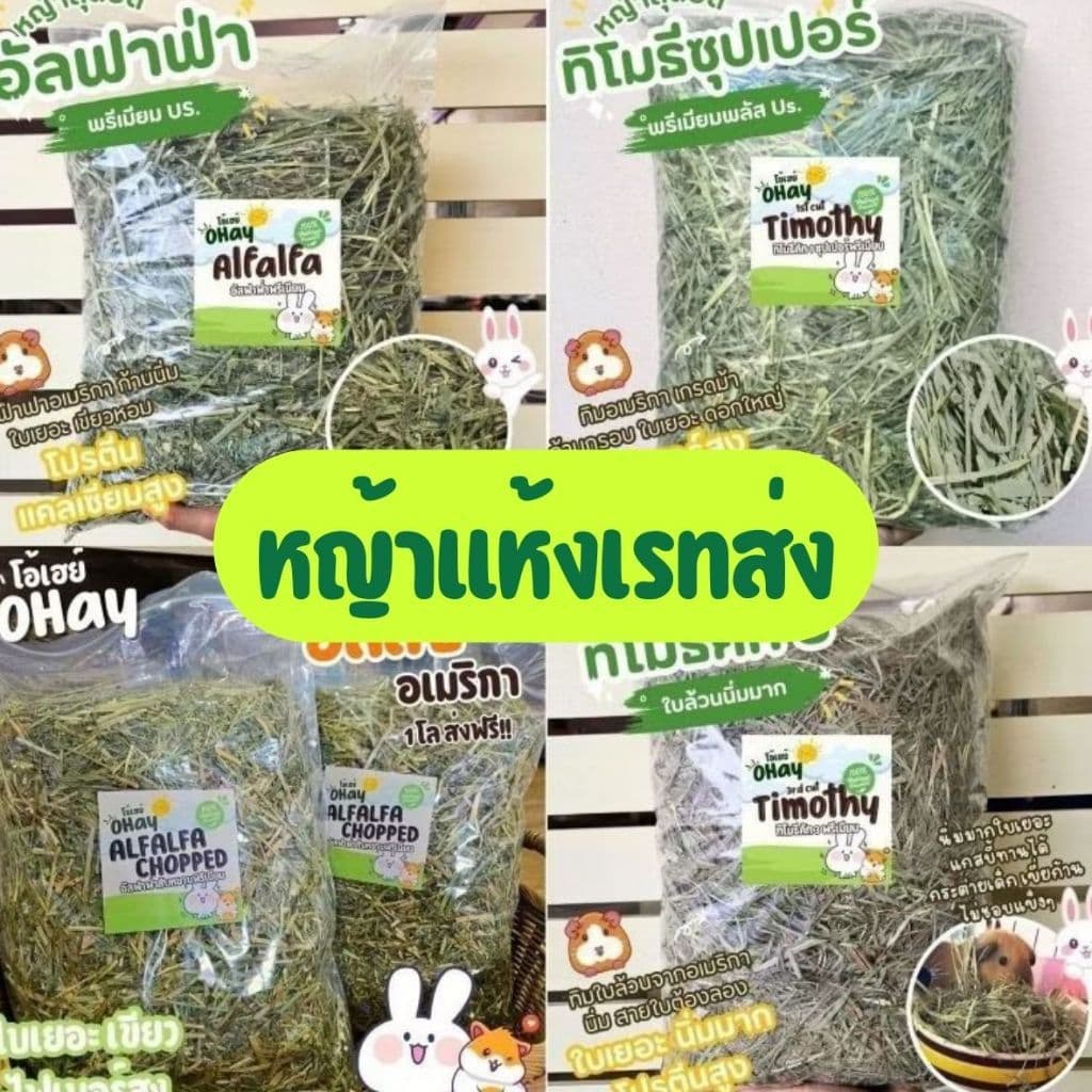 Ohay หญ้ากระต่ายโปรสุดคุ้ม 5 โล 10 โล หญ้าทิมโมธีคัท 1 อัลฟาฟ่า และทิโมธีคัท 3 รูปที่ 1