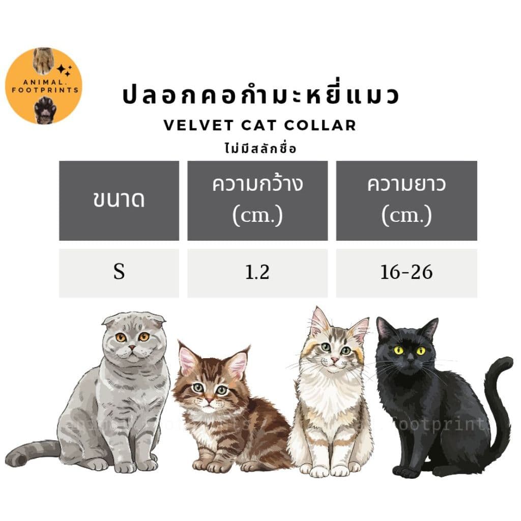 ปลอกคอแมว : ผ้ากำมะหยี่ Size S 22 สี Velvet cat collar รูปที่ 2