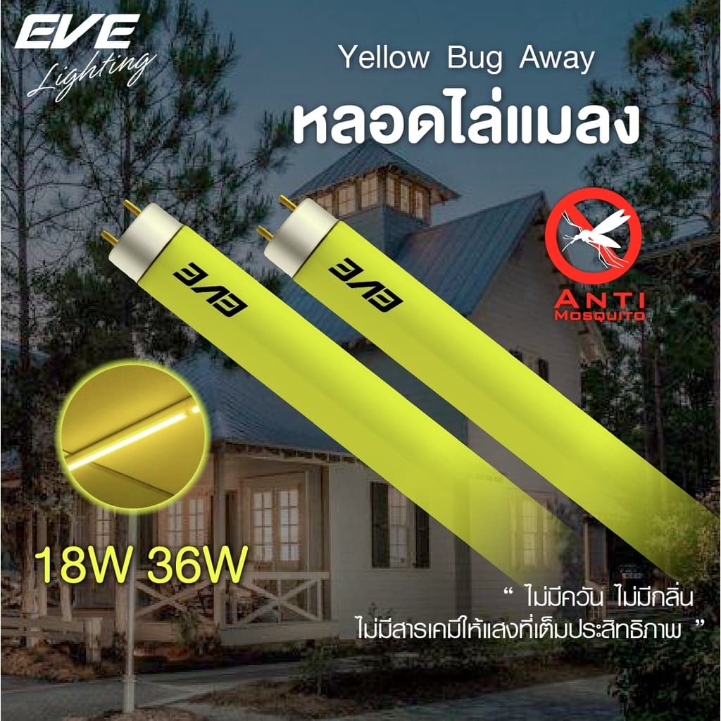 EVE หลอดไฟ นีออน ไล่ยุง ไล่แมลง แสงเหลือง หลอดประหยัดไฟ รุ่น T8 หลอดยาว ขนาด 18W สำหรับชุดรางไฟ ยาว 60cm. รูปที่ 1
