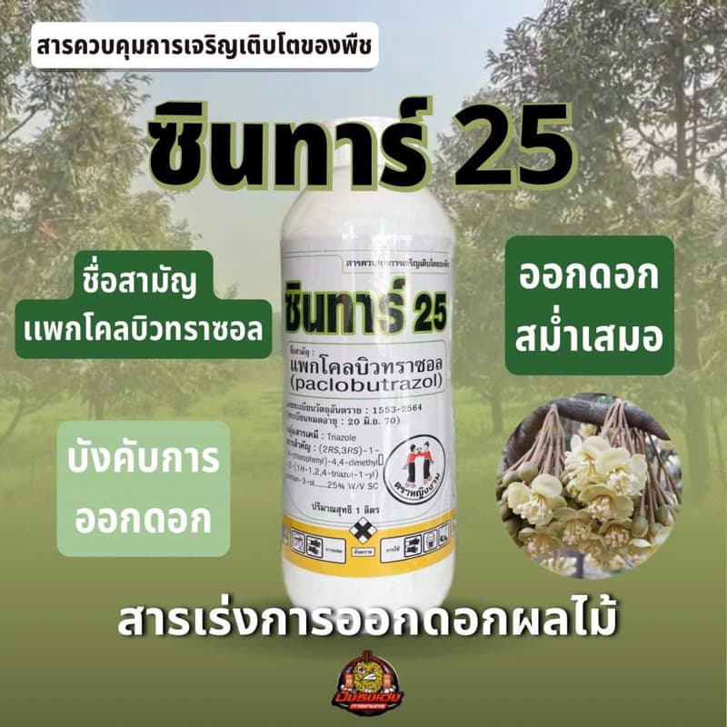 ซินทาร์ 25 ตราหญิงงาม เนื้อครีมละเอียดสูงมากกว่า 45 ไมครอน ควบคุมการเจริญเติบโตของพืช รูปที่ 2