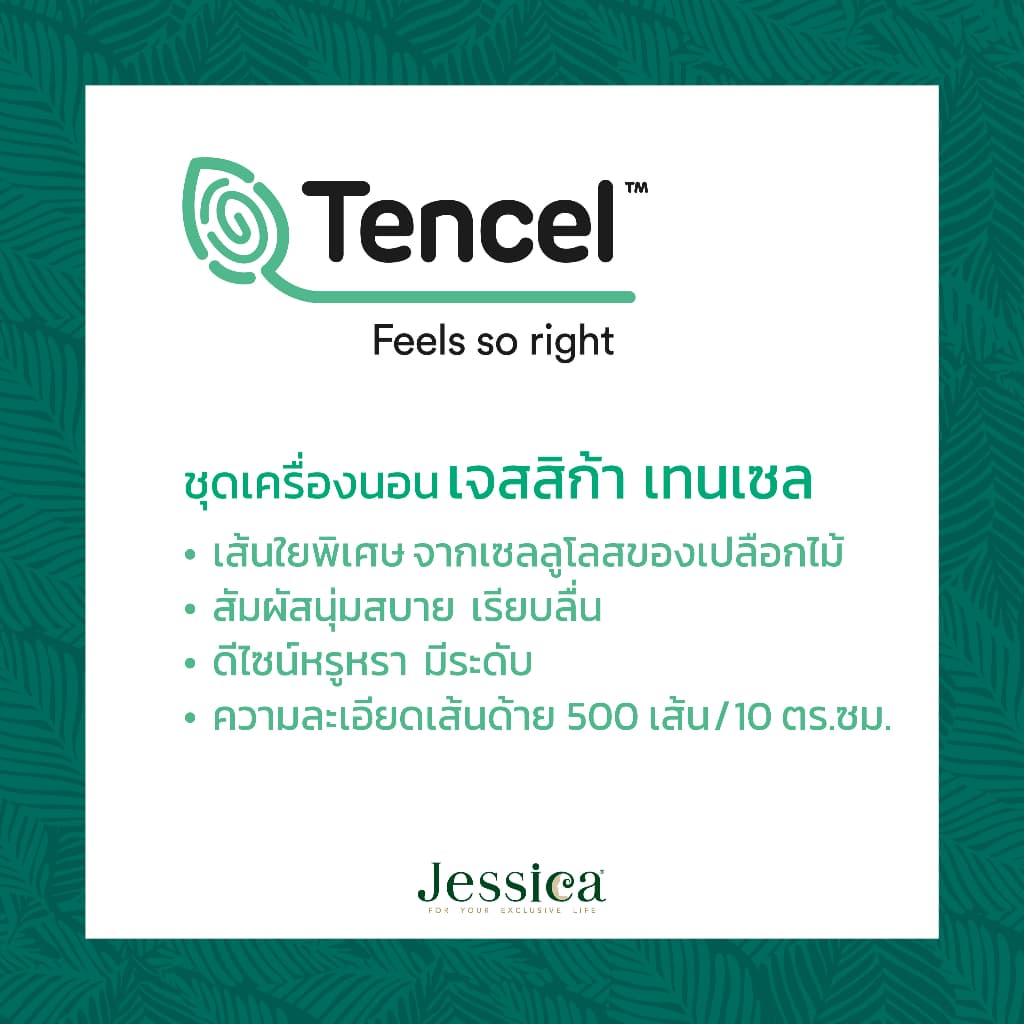 Jessica Tencel T850 ชุดเครื่องนอน ผ้าปูที่นอน ผ้าห่มนวม เจสสิก้า พิมพ์ลวดลายโดดเด่น ให้สัมผัสที่นุ่มลื่นดุจแพรไหม รูปที่ 5