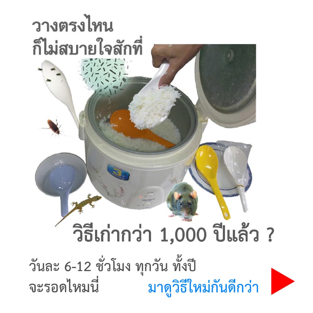 ทัพพีนักคิดแนวตั้ง รุ่นกระบอกใส นวัตกรรมตักข้าว เพื่อชาวเอเซีย ทัพพีตักข้าว ..ที่ดีที่สุดในโลก NKSC-02LUX รูปที่ 5