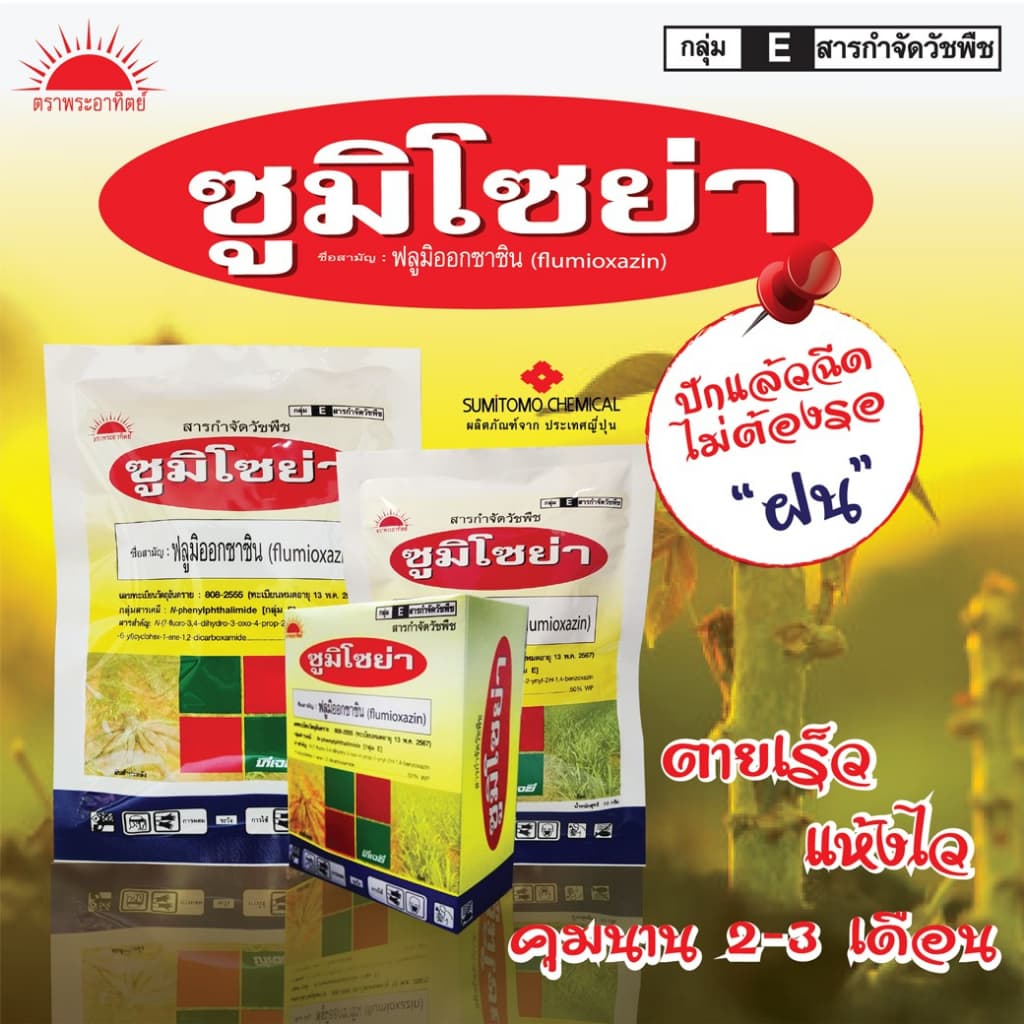 ซูมิโซย่า 100g. ฟลูมิออกซาซิน สารคุมและกำจัดหญ้าใบแคบบกว้างและกก คุมแห้งในมันสำปะหลัง อ้อย ข้าว ถั่วเหลืองallaboutplants รูปที่ 2