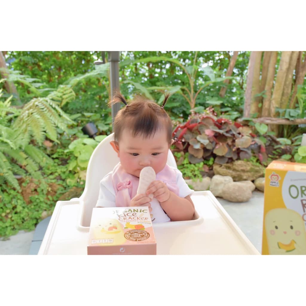 APPLE MONKEY แอปเปิ้ลมังกี้ ขนมเด็ก 8 เดือนขึ้นไป รูปที่ 4