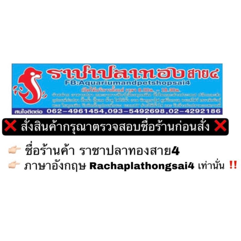 อาหารปลาคราฟ Boost สูตร น้ำผึ้ง เร่งโต เร่งสี ขนาด 6.5 กก. มีแถม รูปที่ 5