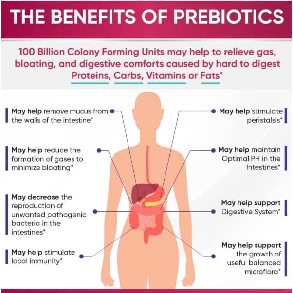 ! Wholesome Wellness Women’s Raw Probiotic 100 Billion CFU โพรไบโอติก สูตรสำหรับผู้หญิง รูปที่ 4