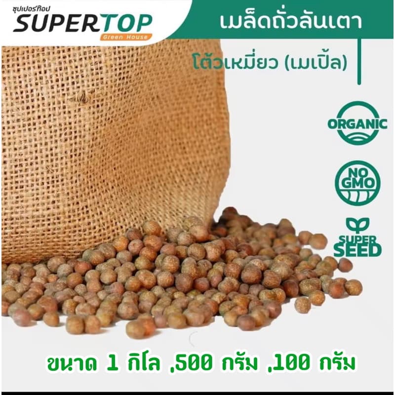 เมล็ดโต้วเหมียวสำหรับเพาะกินต้นอ่อนสายพันธุ์เบเบิ้ล เมล็ดผักไมโครกรีน #microgreen #ไมโครกรีน มี3ขนาด100,500,1,000 กรัม รูปที่ 2