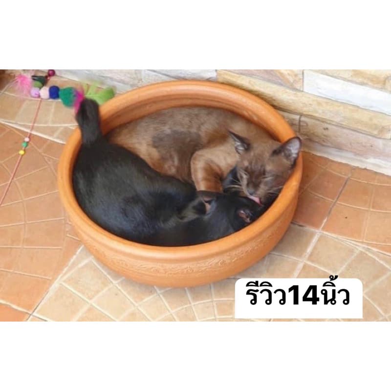 อ่างแมวนอนดินเผา12-14-16-18-20นิ้ว ต้องเปิดพรีเดอไว้แต่จัดส่งปกติทุกวันอ่างดินเผานอนเย็นสบาย รูปที่ 3