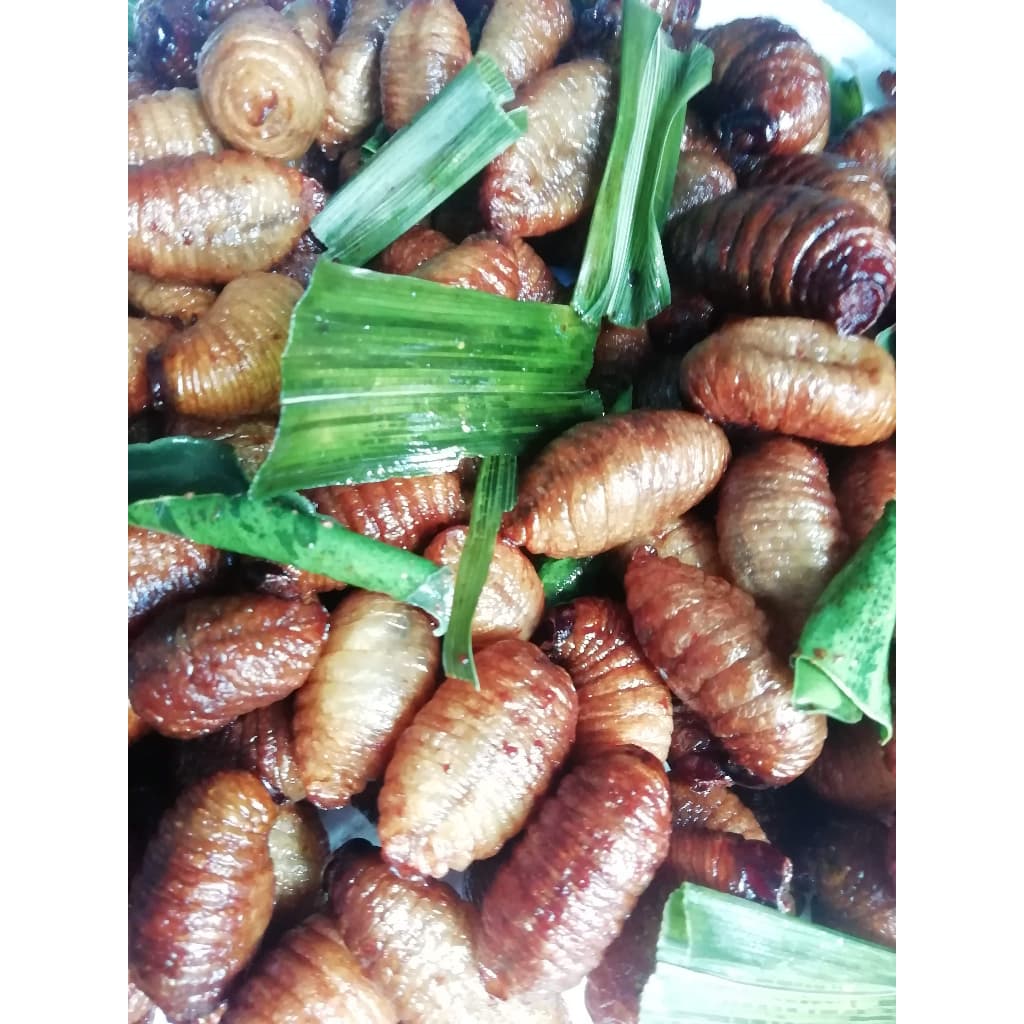 ด้วงสาคูทอด น้ำหนักสุทธิ 60 กรัม by แมลงทอดโลโซ รูปที่ 4