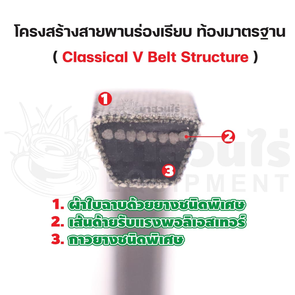 สายพาน HAMMERA แท้100% ร่อง B70 B71 B72 B73 B74 B75 B76 B77 B78 B79 สายพานร่อง สายพานการเกษตร สายพานอุตสาหกรรม นาสวนไร่ รูปที่ 2