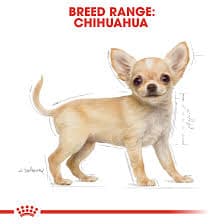 Royal Canin โรยัล คานิน อาหารเม็ด สำหรับลูกสุนัขสายพันธุ์ชิวาวา 1.5 kg exp.12/2026 รูปที่ 3