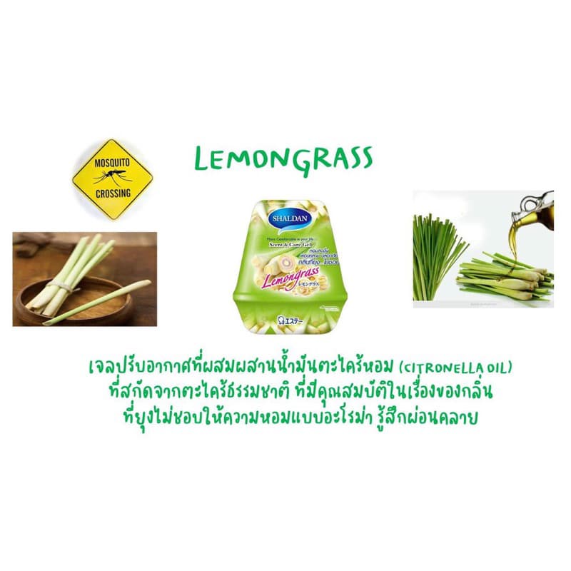 SHALDAN Scent & Care Gel ขนาด 180 กรัม เจล ปรับอากาศ หอมนาน ยั่วใจ รูปที่ 2
