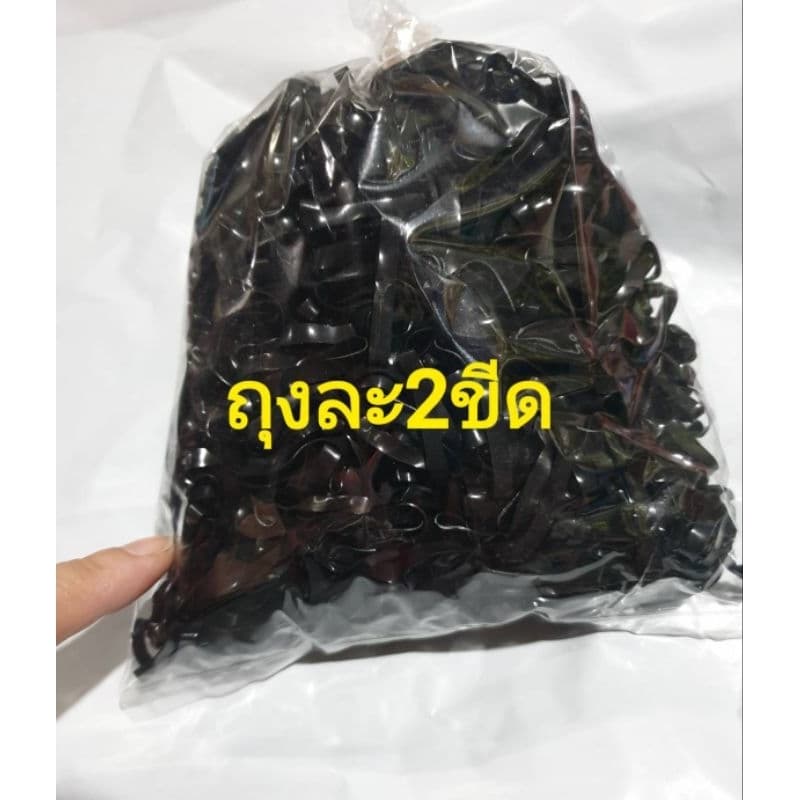 ยางสีดำเส้นใหญ่ ถุงละ 2ขีด รูปที่ 1