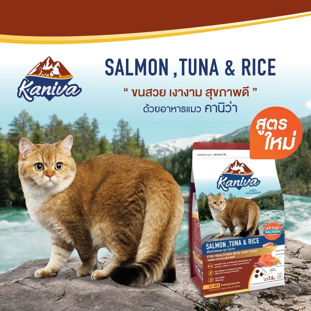 Kaniva Salmon 9 KG. อาหารแมว สูตรเนื้อปลาแซลมอน ปลาทูน่าและข้าว บำรุงผิวหนังและขน เน้นขนสวยสุขภาพดี สำหรับแมวทุกช่วงวัย รูปที่ 4