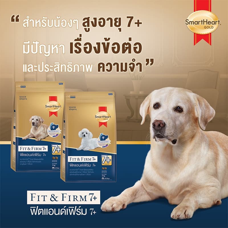 Smartheart Gold อาหารสุนัขสูงอายุ 7+ ขึ้นไป ขนาด 500 g รูปที่ 2