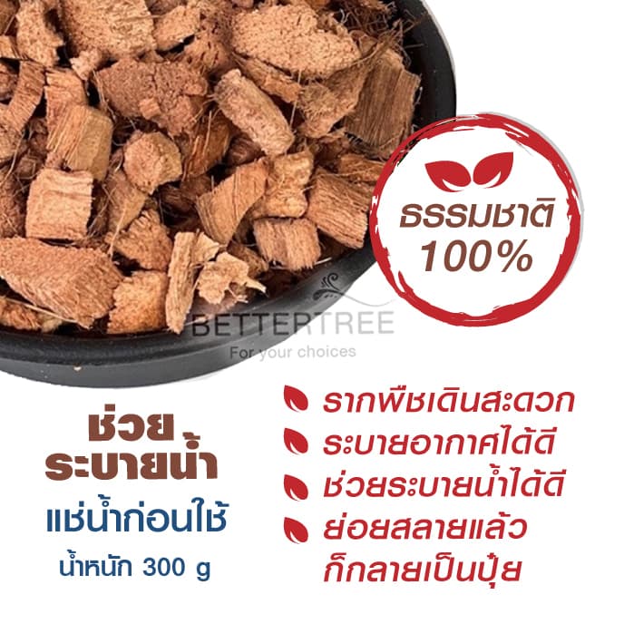 มะพร้าวสับ น้ำหนัก 300 กรัม พร้อมปลูก ใช้ปลูกต้นไม้แทนดินได้ ใส่เพิ่มความชุ่มชื่นให้ต้นไม้ มะพร้าว รูปที่ 2