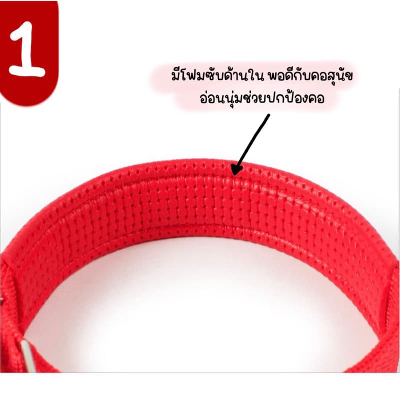 ปลอกคอหมา ปลอกคอสุนัข เชือกไนล่อน !! รูปที่ 4