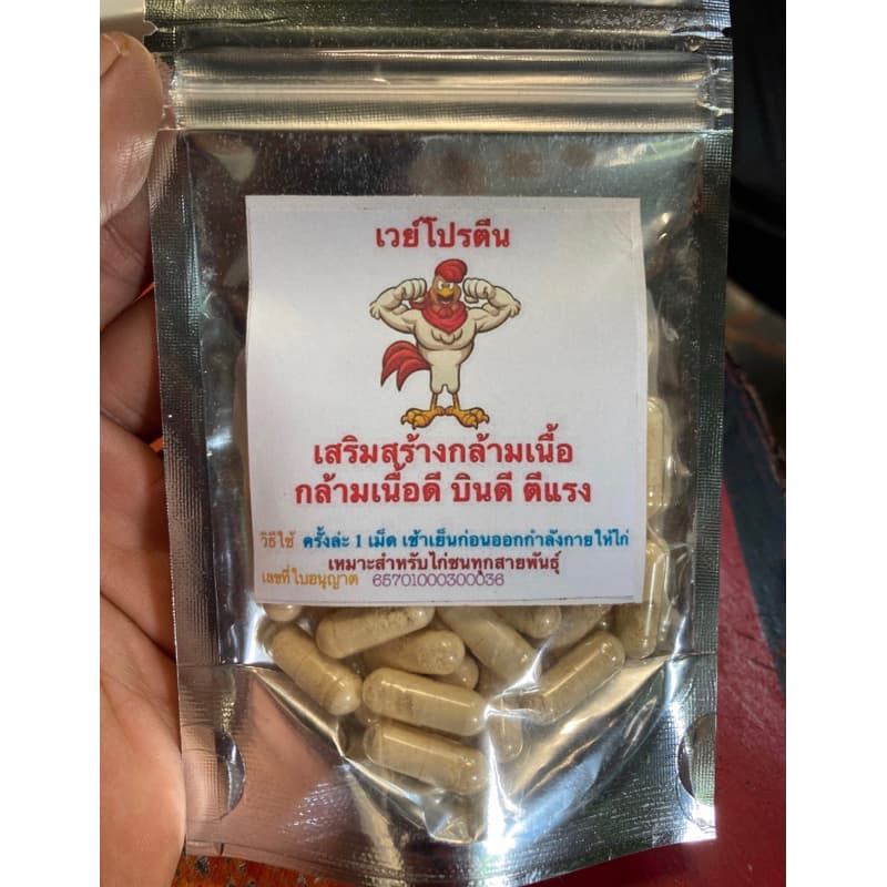 เวย์โปรตีน สำหรับไก่ชน แก้ไก่หน้าซีดได้ เสริมสร้างกล้ามเนื้อ กล้ามเนื้อดี บินดี ตีแรง รูปที่ 7