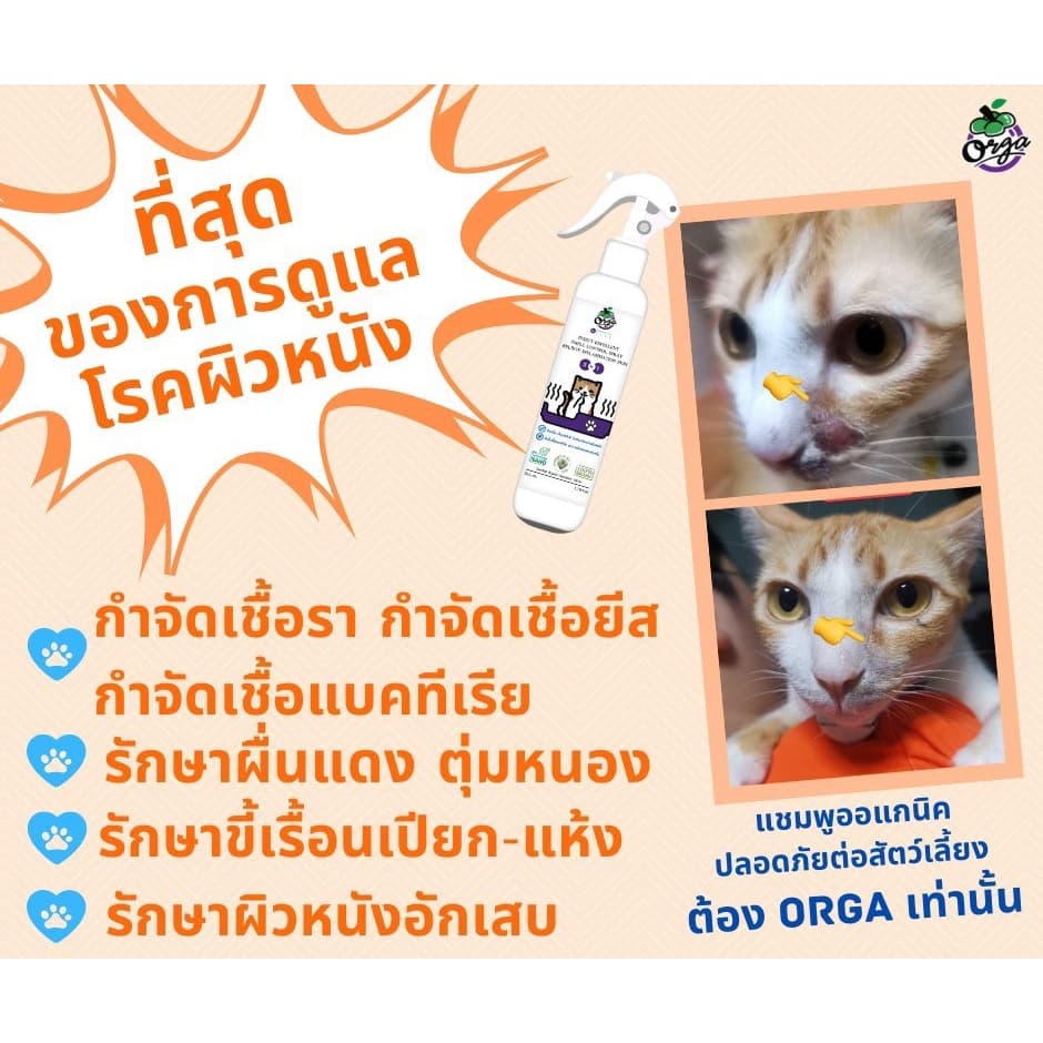 Orga Organic Pets สเปรย์ 3 IN 1 สำหรับหมา แมว ขนสั้นและยาว สเปรย์ทำความสะอาด ไล่แมลง ขจัดกลิ่น รูปที่ 7