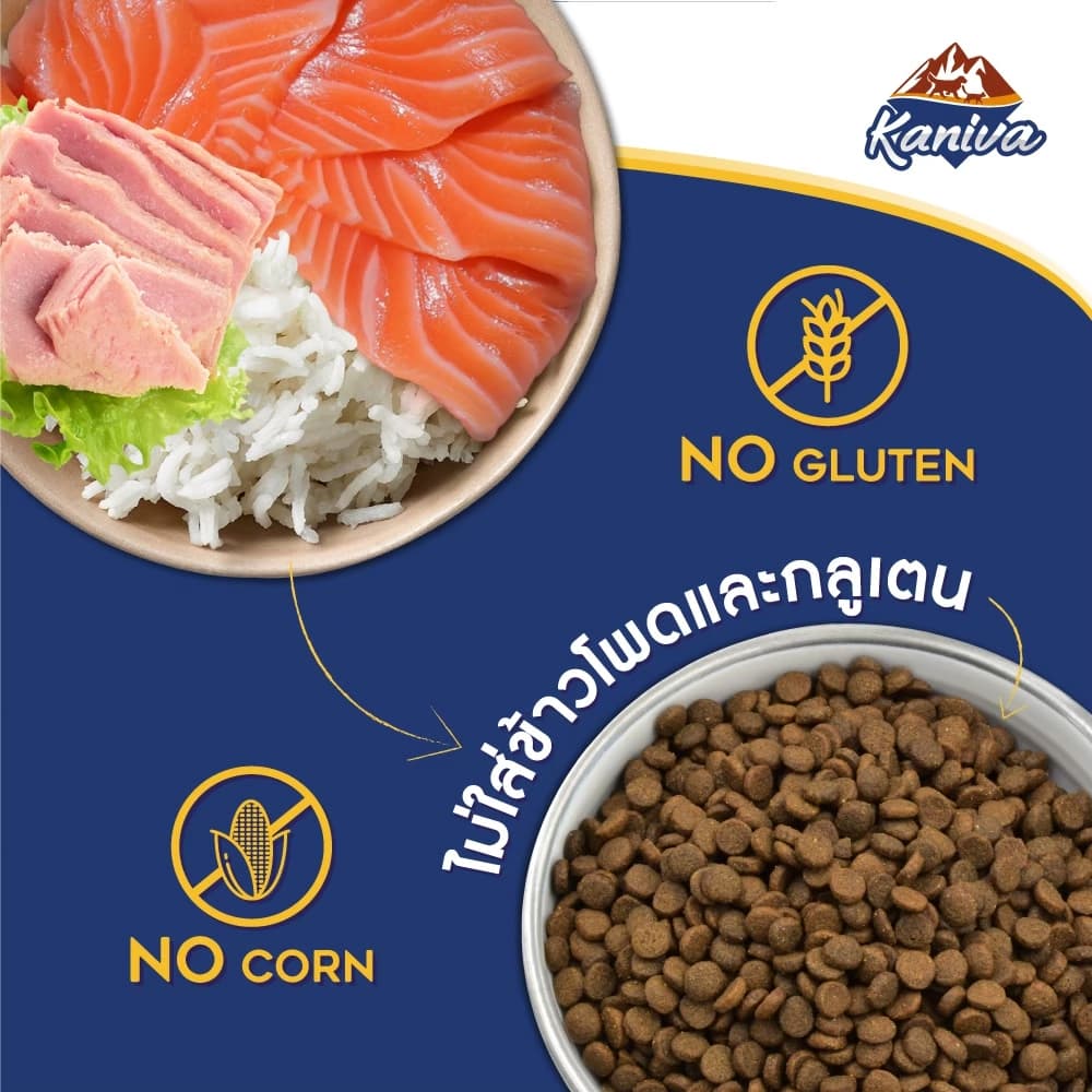 Kaniva Salmon 9 KG. อาหารแมว สูตรเนื้อปลาแซลมอน ปลาทูน่าและข้าว บำรุงผิวหนังและขน เน้นขนสวยสุขภาพดี สำหรับแมวทุกช่วงวัย รูปที่ 6