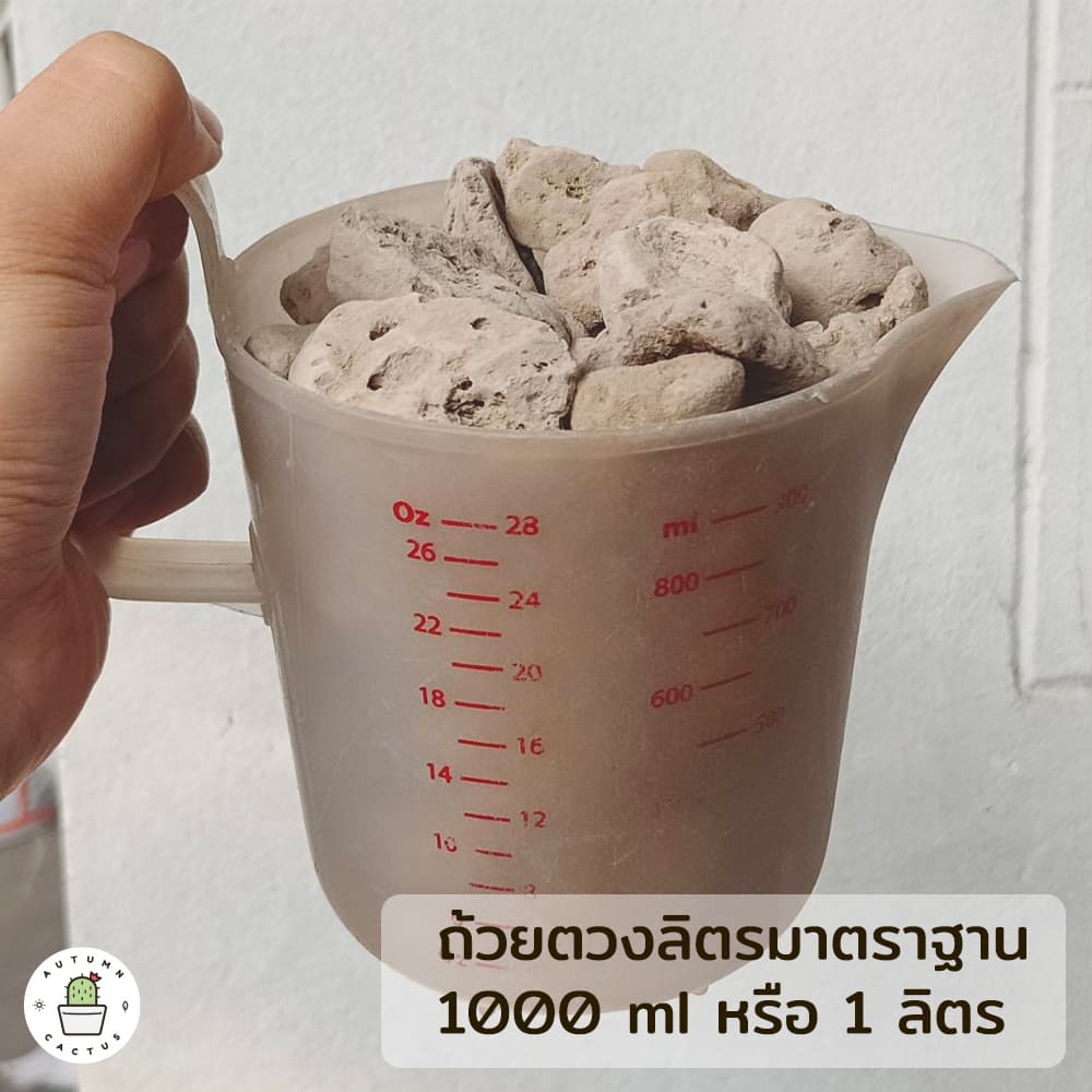 หินภูเขาไฟ Pumice Stone รองก้นกระถาง ผสมดินปลูก หินทำถุงหอม ถุงใหญ่ ขนาด 4ลิตร เบอร์00 เบอร์01 เบอร์02 XL - XXL รูปที่ 8