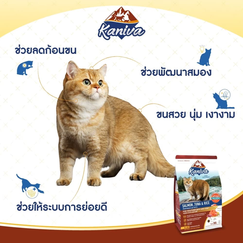 Kaniva Salmon 9 KG. อาหารแมว สูตรเนื้อปลาแซลมอน ปลาทูน่าและข้าว บำรุงผิวหนังและขน เน้นขนสวยสุขภาพดี สำหรับแมวทุกช่วงวัย รูปที่ 5