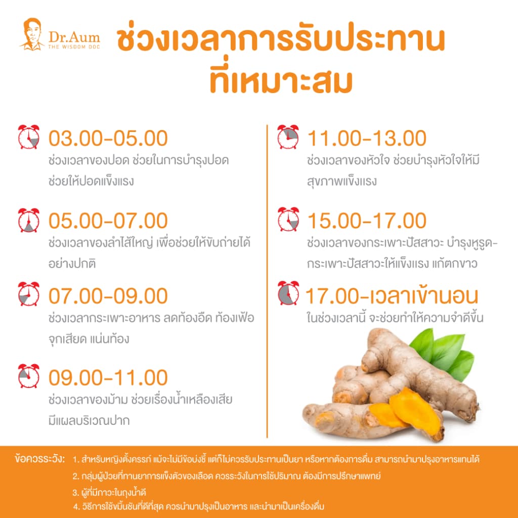 Dr. Aum ผงขมิ้นชัน ไทยแท้ 100% เคอร์คิวมินอยด์ 9% Turmeric Powder 50, 100, 200g รูปที่ 3