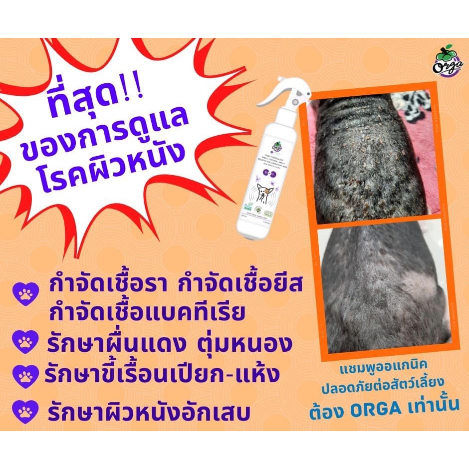 Orga Organic Pets สเปรย์ 3 IN 1 สำหรับหมา แมว ขนสั้นและยาว สเปรย์ทำความสะอาด ไล่แมลง ขจัดกลิ่น รูปที่ 6