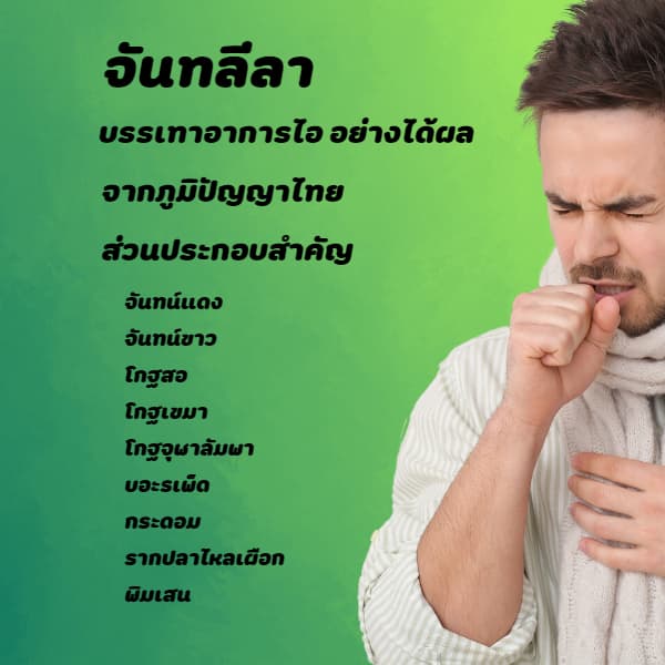 แก้ไอ ไอเรื้อรัง ละลายเสมหะ ใช้ จันทลีลา ขนาด 500mg จำนวน 60 แคปซูล รูปที่ 4