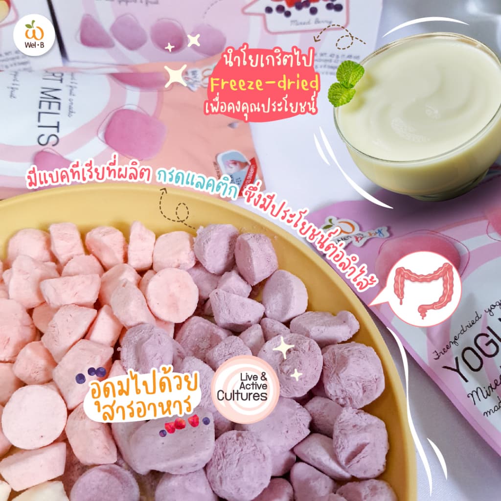 Wel-B​ Yogurt​ Melts​ Strawberry​ 20g. รูปที่ 6