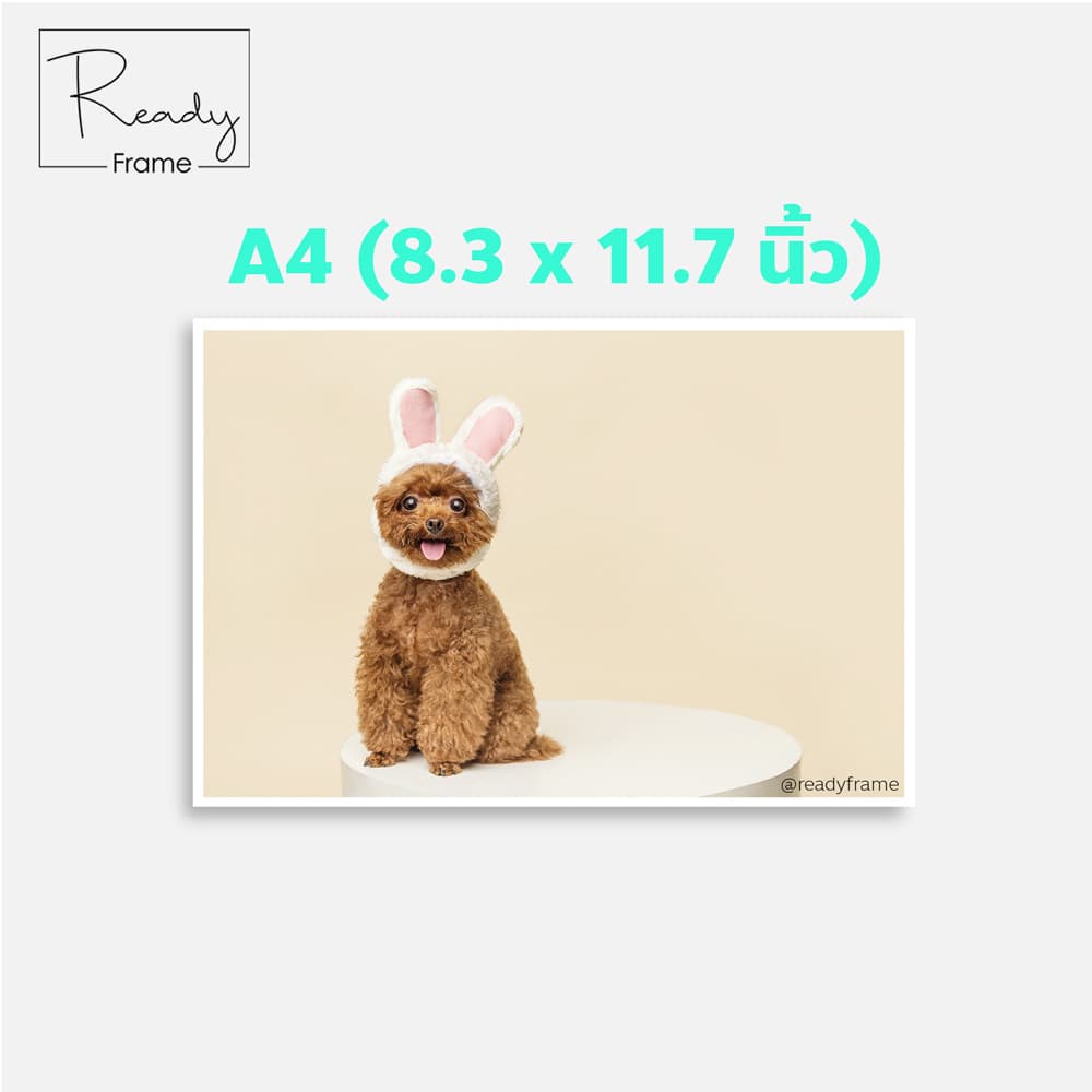 อัดรูป ปริ้นรูป A4 อัดรูปคุณภาพพรีเมี่ยม **กรุณาอ่านรายละเอียดก่อนสั่งซื้อ** รูปที่ 8