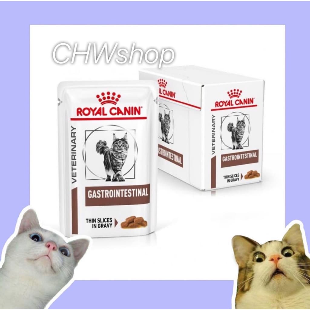 Royal Canin Gastro Intestinal cat แบบเม็ดและเปียก อาหารสำหรับแมวท้องเสีย รูปที่ 2