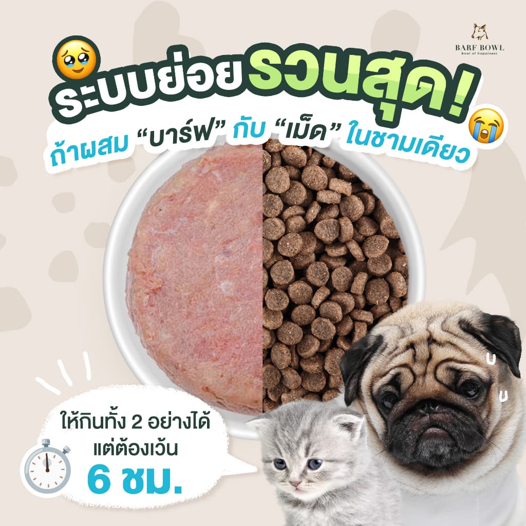 บาร์ฟสุนัข - BARF สูตรทูน่าครีบเหลืองผสมเป็ด l 500g - YELLOW FIN TUNA รูปที่ 8