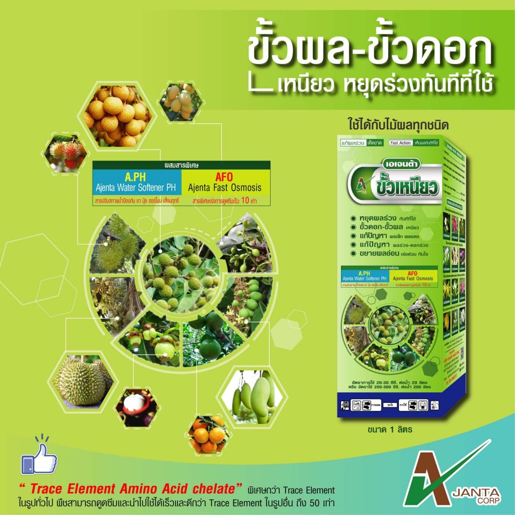 ขั้วเหนียว หยุดผลร่วงทันทีที่ใช้ แก้ปัญหาผลเล็ก ผลแดง หยุดดอกร่วง ผลร่วง ขั้วดอก ขั้วผล เหนียว เอเจนต้า คอร์ป รูปที่ 1