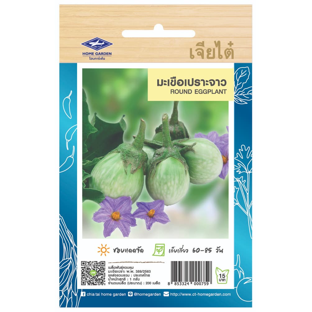 เจียไต๋ เมล็ดพันธุ์ มะเขือเปราะจาว ขนาด1กรัม ประมาณ200เมล็ด Round Eggplant มะเขือเปราะ เมล็ดพันธุ์พืช เมล็ด รูปที่ 2