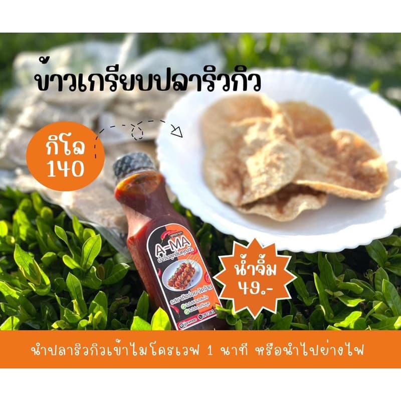 ปลาริวกิว ปลาทะเลแผ่นกลม รูปที่ 3