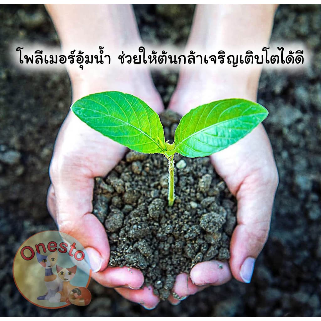 โพลิเมอร์ สารอุ้มน้ำ เพื่อการเกษตรโดยเฉพาะ ปริมาตร 1000 กรัม รูปที่ 3