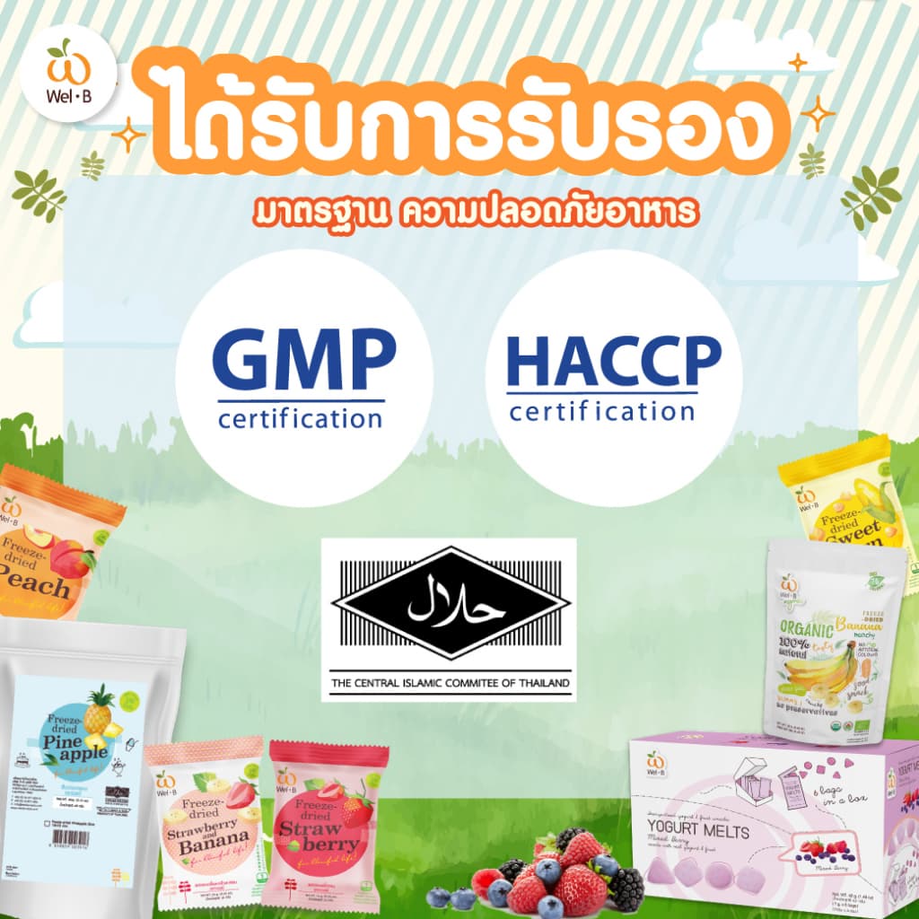 Wel-B Freeze-dried Apricot 14g. - ขนมเพื่อสุขภาพ ผลไม้กรอบ ฟรีซดราย รูปที่ 3