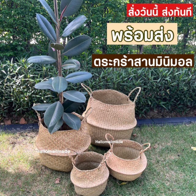 ตะกร้าต้นไม้ ตะกร้าใส่ของ ตระกร้าสาน อเนกประสงค์ กระถางต้นไม้ ตระกร้าหวาย รูปที่ 1