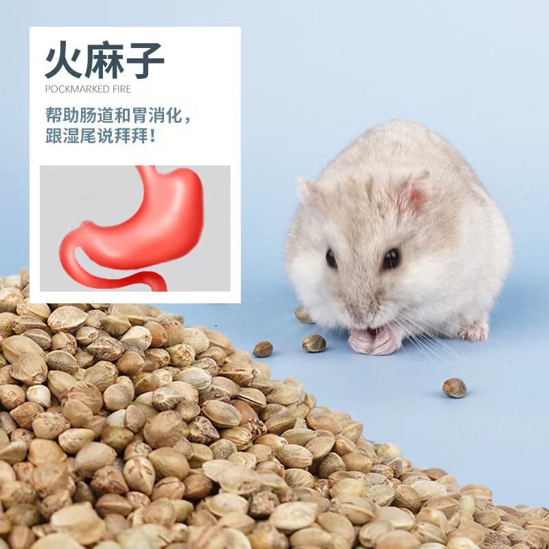 อาหารหนูแฮมเตอร์ Hamster Food สำหรับแฮมเตอร์ทุกสายพันธุ์,แกสบี้,กระรอก ขนาด 490~500 g. รูปที่ 7